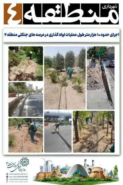 اجرای حدود ۱۰ هزار متر طول عملیات لوله گذاری در عرصه های جنگلی منطقه ۴

