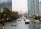 اتمام عملیات ساماندهی بوستان نیلوفر تا ۴۵ روز آینده

