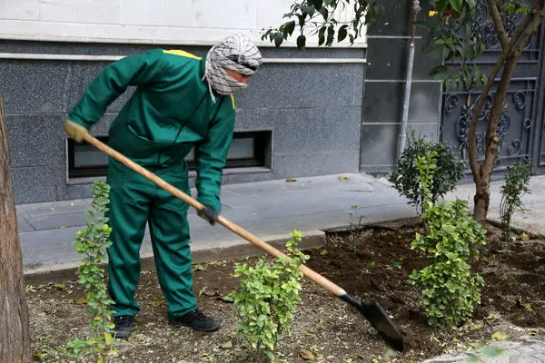 بهسازی محدوده منازل خانواده معظم شهدای منطقه 4 در طرح «تحول نگهداشت شهر»
