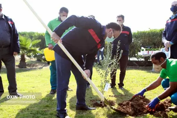 برگزاری مراسم کاشت نهال به مناسبت روز درختکاری