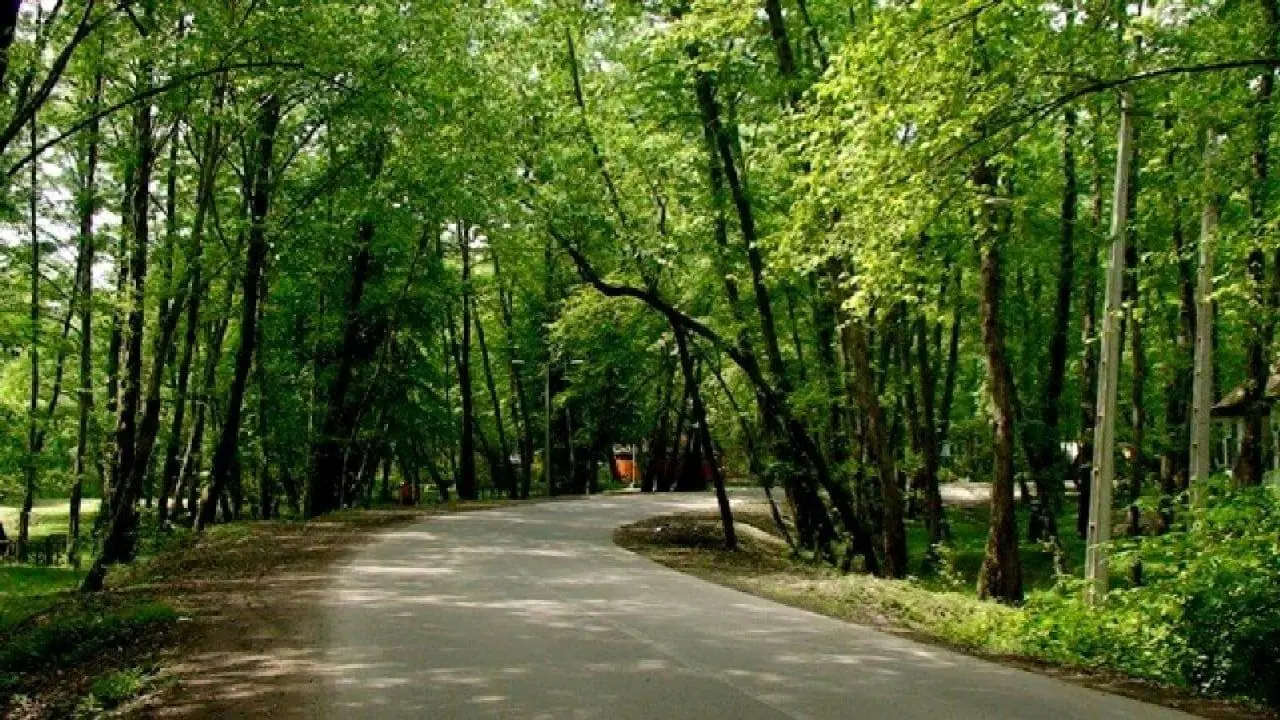 از پارک جنگلی نور تا شهر قم و موزه حرم حضرت معصومه (س)