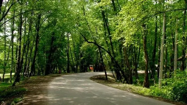 از پارک جنگلی نور تا شهر قم و موزه حرم حضرت معصومه (س)