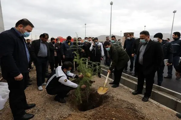 مدیرعامل شرکت بهرهبرداری مترو به یاد و نام کارکنان فوت شده در ایام کرونا درخت کاشت