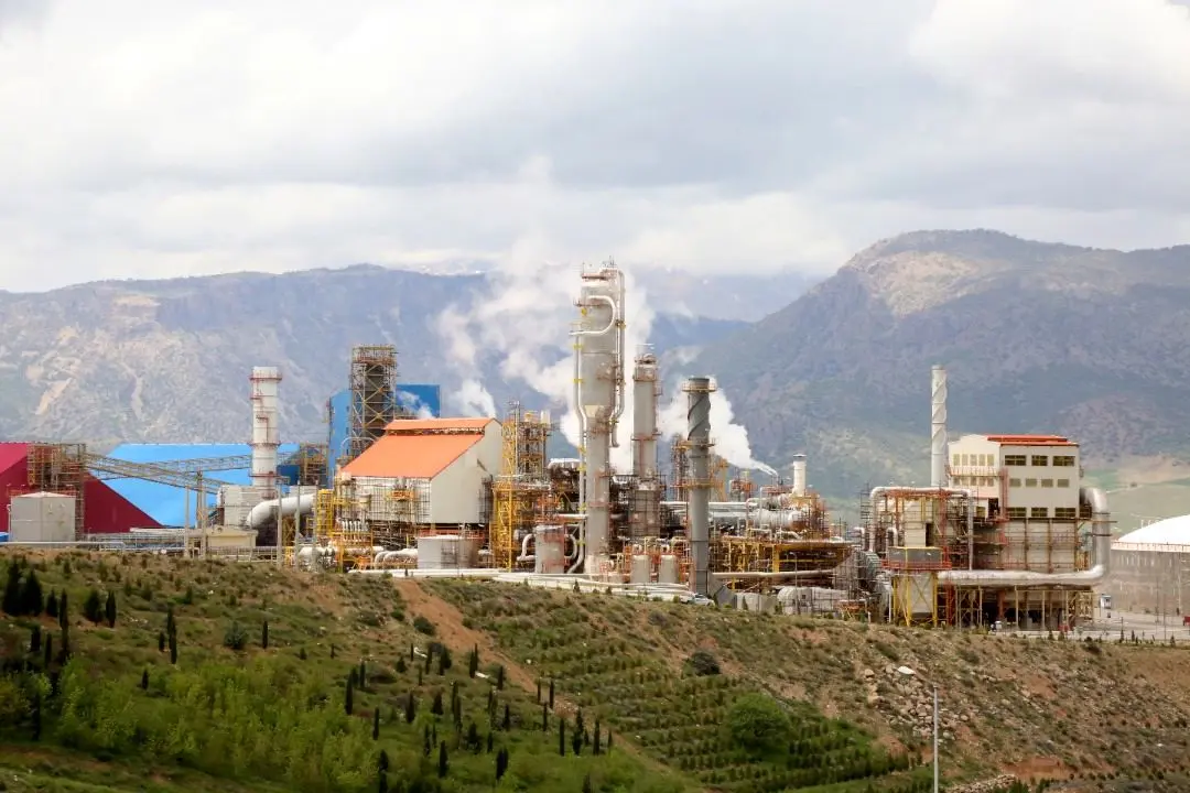 رشد ۱۵۰۰ درصدی فروش «شلرد» در سه ماهه نخست ۱۴۰۱

