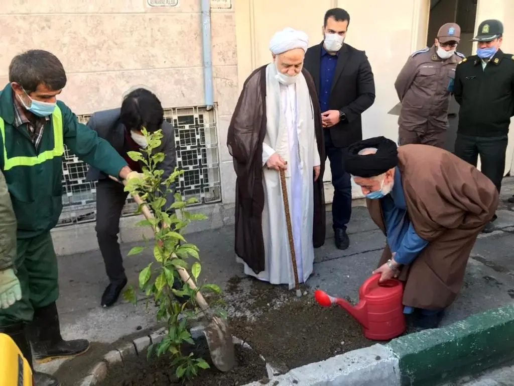 با کاشت 75 اصله نهال نارنج، طرح نهضت درختکاری در محله های مرکزی شهر تهران آغاز شد

