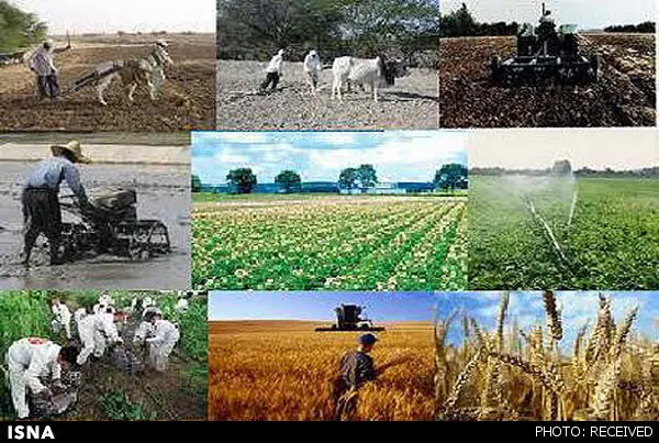 متقاضیان اشتغال روستایی چقدر وام گرفتند؟
