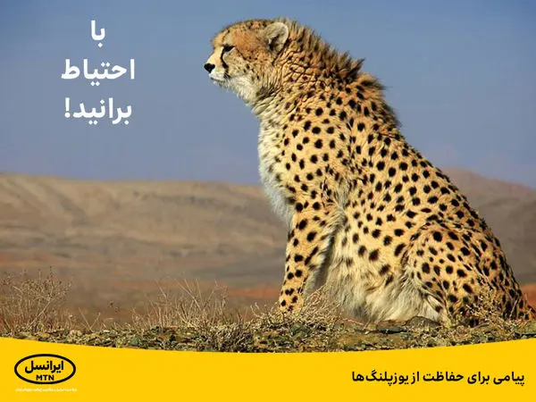 پیامی برای حفاظت از یوزپلنگها