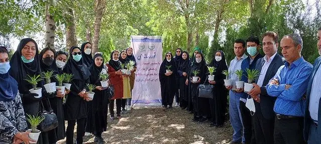 چهار طرح تحقیقاتی گیاهان دارویی در اراک در حال انجام است