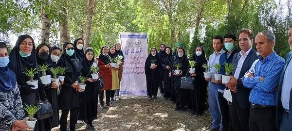 چهار طرح تحقیقاتی گیاهان دارویی در اراک در حال انجام است