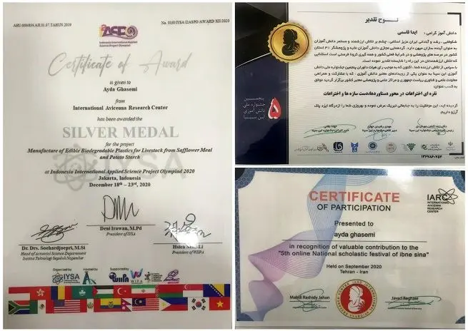 کسب رتبه برتر فرزند همکار شرکت آب و فاضلاب استان مرکزی در المپیاد بین المللی علوم کاربردی اندونزی ۲۰۲۰

