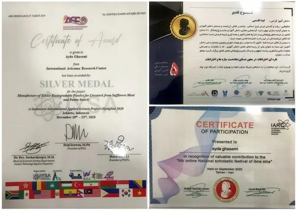کسب رتبه برتر فرزند همکار شرکت آب و فاضلاب استان مرکزی در المپیاد بین المللی علوم کاربردی اندونزی ۲۰۲۰