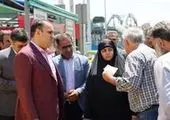 تلاش برای توسعه حمل و نقل پاک منطقه ۱۲ در سال ۱۴۰۴

