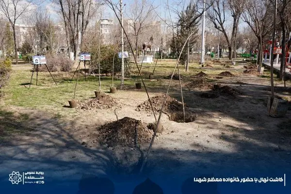 آغاز پویش کاشت ۱۶ هزار نهال در منطقه۸