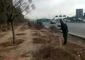 اجرای ۱۳ طرح اصلاح هندسی در سال ۱۴۰۱

