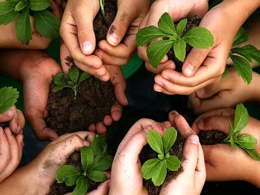 حمایت 2 هزار میلیاردی بانک کشاورزی از زنان و جوانان روستایی در پروژه مشترک با سازمان ملل متحد