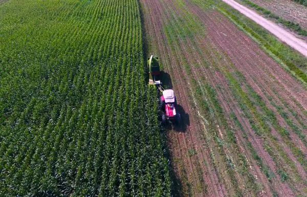 حفظ نقدینگی کشور با تولید نهاده دامی در پگاه