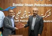 پوست اندازی در مسیر بندرامام نوین