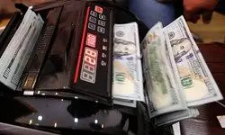 مراجعه سپرده‌گذاران ارزی به بانک‌ها برای دریافت ارزهایشان
