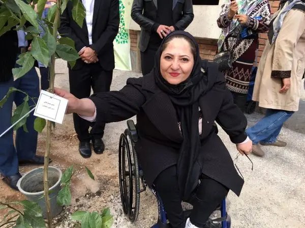 پویش درختکاری توسط دبیران و اعضای کانون های سلامت محور منطقه 7 برگزار شد