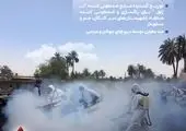  توزیع ضدعفونی کننده بین مردم شهرستان عسلویه آغاز شد

