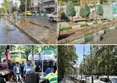 کاشت 25 هزار اصله نهال تا پایان سال در بوستان جنگلی سرخه حصار

