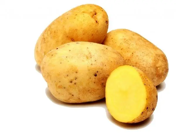 پرداخت میلیاردی برای خرید تصویر یک سیب زمینی +عکس