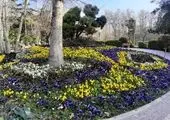 زائران به هیچ وجه به سمت مرزها حرکت نکنند