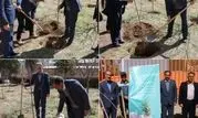کاشت نهال در مخابرات منطقه مرکزی به مناسبت روز درختکاری

