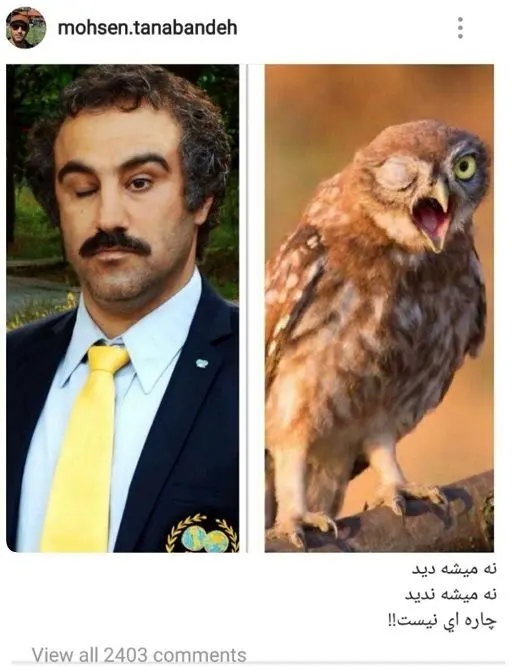 عکس معنادار محسن تنابنده در اینستاگرام