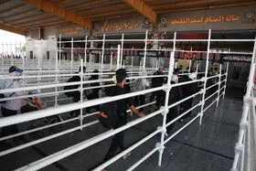 میزان ارز و کالایی که زائران اربعین می‌توانند از کشور خارج کنند اعلام شد

