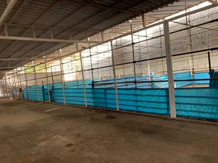 جایگاه موقت عرضه و ذبح بهداشتی دام در منطقه۲ برپا می شود

