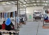 اجرای 347 طرح خوداشتغالی با مشارکت بانک اقتصادنوین در سیستان ‌و بلوچستان

