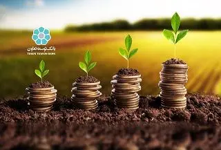 پرداخت ۵۲۰۰ میلیارد ریال تسهیلات بانک توسعه تعاون به مددجویان نهادهای حمایتی
