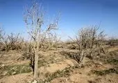 منتقدین به دستاوردهای نظام نیز توجه کنند 