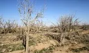 90 درصد مساحت چهارمحال و بختیاری درگیر خشکسالی است