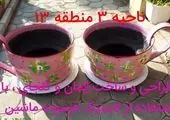 رنگ و هنر بر المان های شهری منطقه 2 نقش بست 
