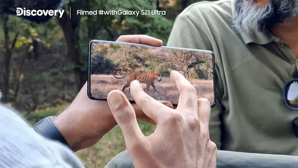 تصویربرداری نزدیک از زندگی ببرها با گلکسی S21 Ultra