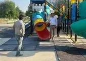 افزایش طراوت و سرانه فضای سبز در منطقه ۱۹ با کاشت ۵۰ هزار اصله درخت

