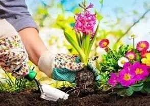 زیباسازی و بهسازی محیطی محله بهبودی آغاز شد

