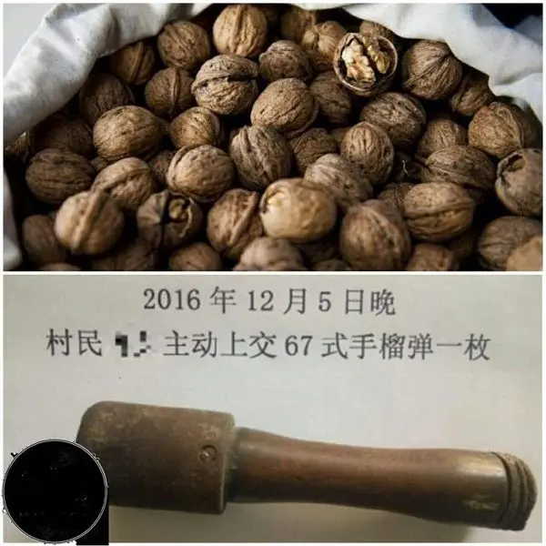 نارنجک دستی متعلق به جنگ جهانى دوم+عکس