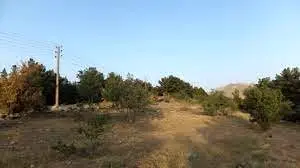 اجرای طرح ارتقای امنیت در بوستان جنگلی سرخه حصار 