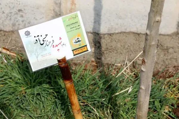 کاشت نهال به یاد شهدای مدافع سلامت در بیمارستان شهید لواسانی منطقه۱۳