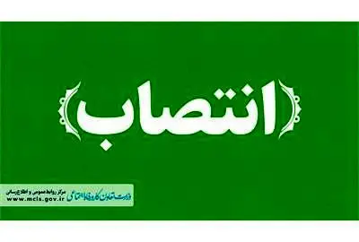 مدیرعامل بانک توسعه تعاون منصوب شد