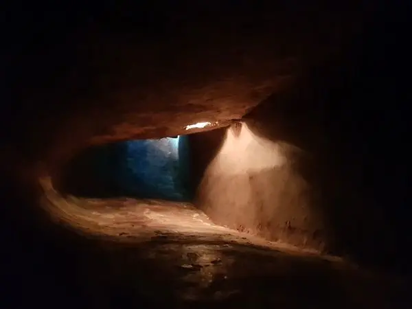 آنها درباره آمریکا چگونه فکر می کنند؟