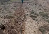  چشم نوازی گل های فصلی در آستانه فصل تابستان در فضاهای سبز و بوستان های منطقه ۴


