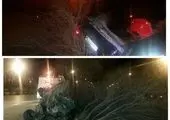 واژگونی میکسر بتن در اتوبان کرج و مرگ راننده