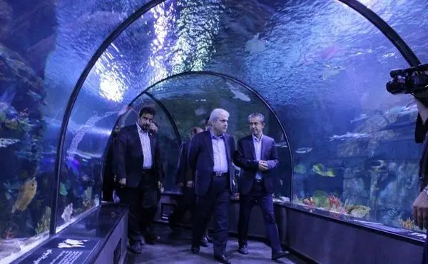 منطقه آزاد انزلی از ظرفیت بالایی در حوزه دانشبنیان برخوردار است