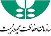  زباله گردی؛ تبعات جمع‌آوری نادرست است
