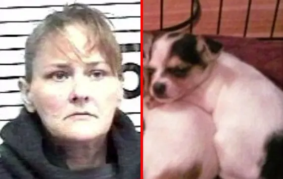 تکه تکه کردن وحشیانه سگ بخاطر بر ملا نشدن دروغ بارداری!+ عکس