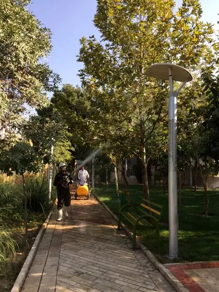 محلولپاشی بیش از 40 هزار اصله درخت منطقه 13 

